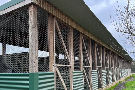 How to Set Up a Breeding Pen for Chickens