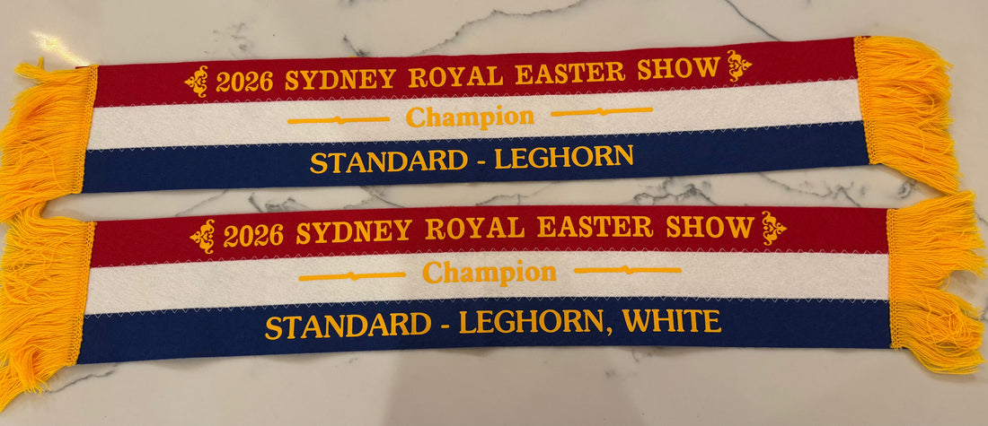 How to Get Started in Exhibition Poultry in Australia: A Beginner's Guide