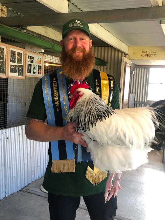 A Guide to Poultry Shows in Australia: Types, Classes and Awards Explained