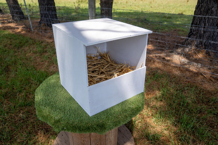 Nest Boxes