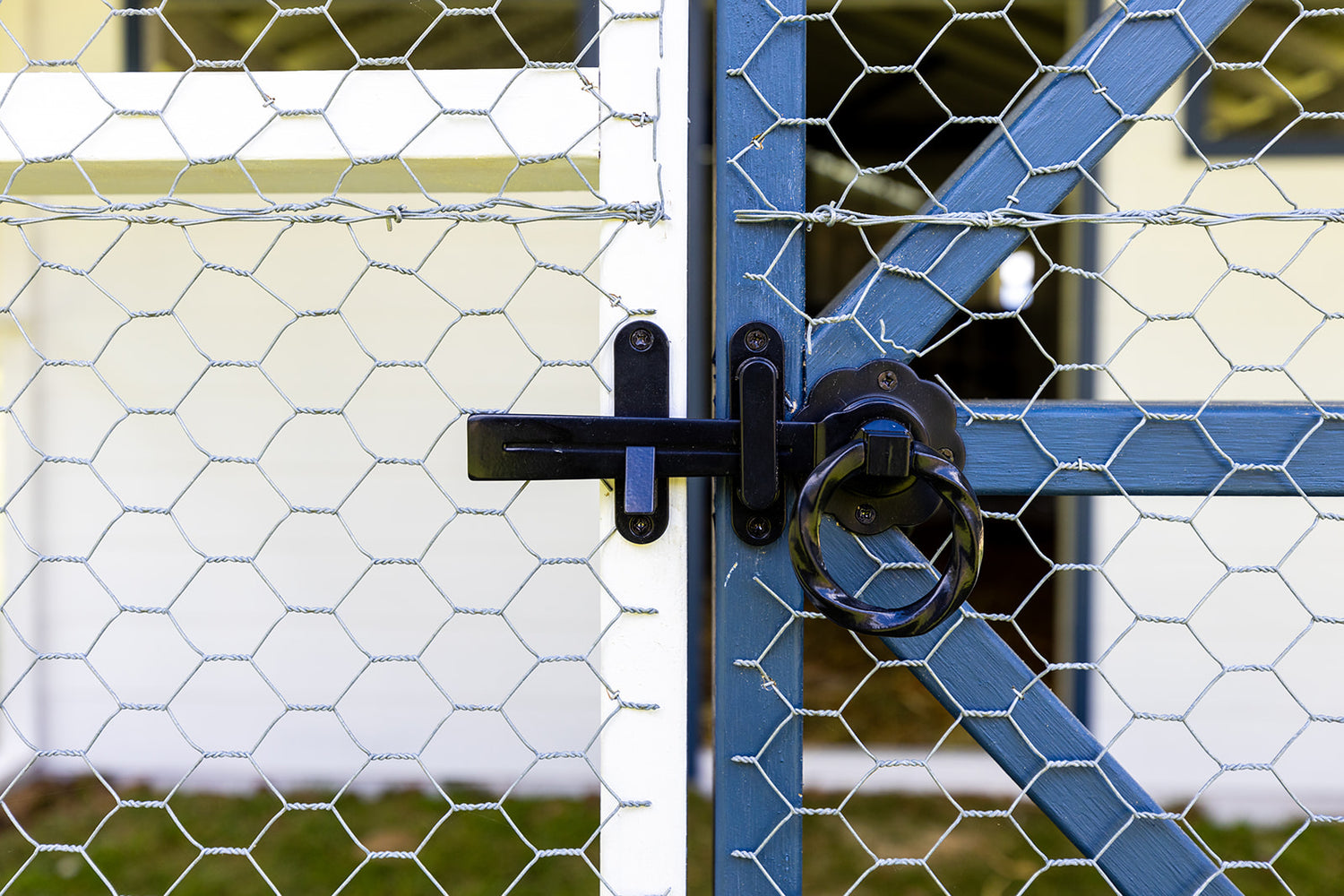 Custom chicken coop build with fox proof wire mesh and galvanised steel fittings