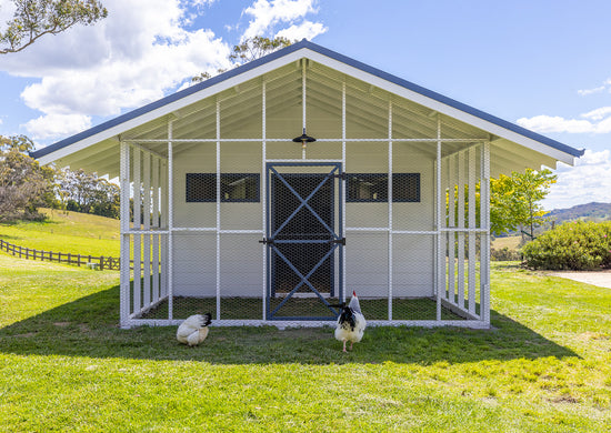 The Poodle and The Hen custom chicken coop