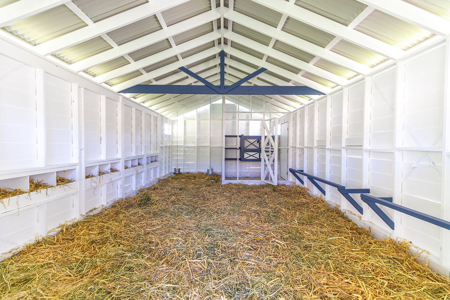 Custom chicken coop build interior