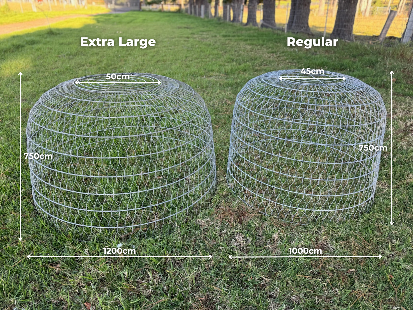 Wire Dome Bird Cage Sizes with Dimensions