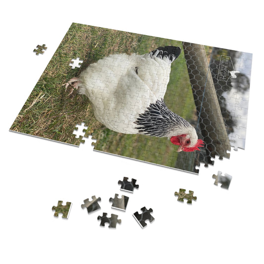 The Poodle and The Hen | Light Sussex Hen | Jigsaw Puzzle with Tin