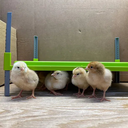 Chick Heating Plate | Adjustable Brooder Plate for Baby Chicks