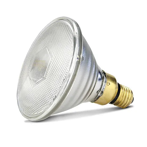Infrared Heat Lamp Bulb | Clear 100W Chicken Brooder Heat Lamp