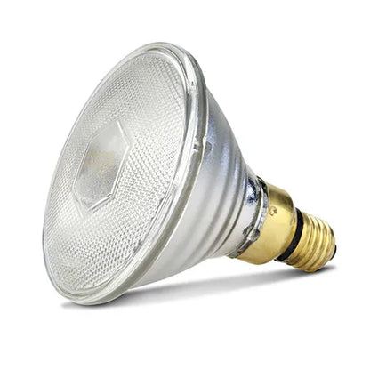 Infrared Heat Lamp Bulb | Clear 100W Chicken Brooder Heat Lamp