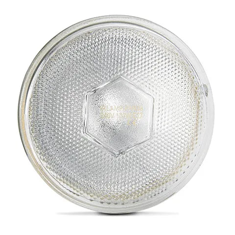 Infrared Heat Lamp Bulb | Clear 100W Chicken Brooder Heat Lamp