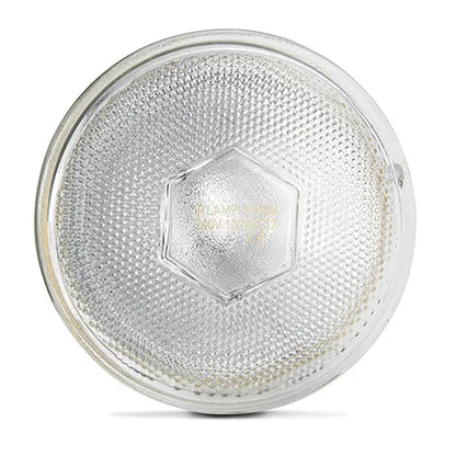 Infrared Heat Lamp Bulb | Clear 100W Chicken Brooder Heat Lamp