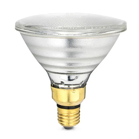 Infrared Heat Lamp Bulb | Clear 100W Chicken Brooder Heat Lamp