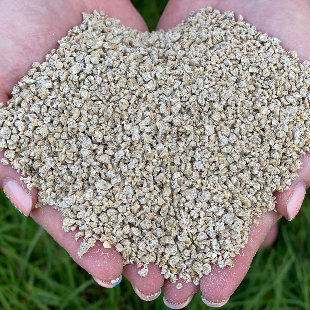 The Poodle and The Hen Layer/Breeder chicken feed in hands
