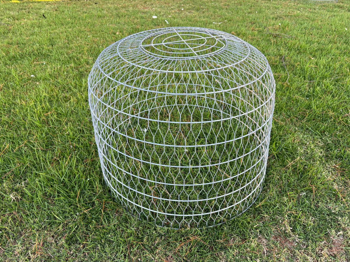 Wire Dome Bird Cage