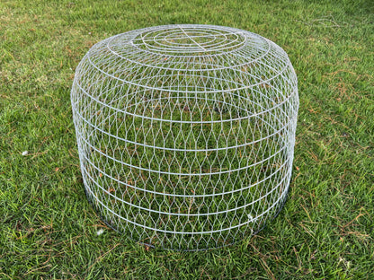 Wire Dome Bird Cage