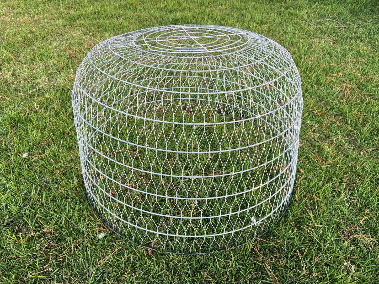 Wire Dome Bird Cage