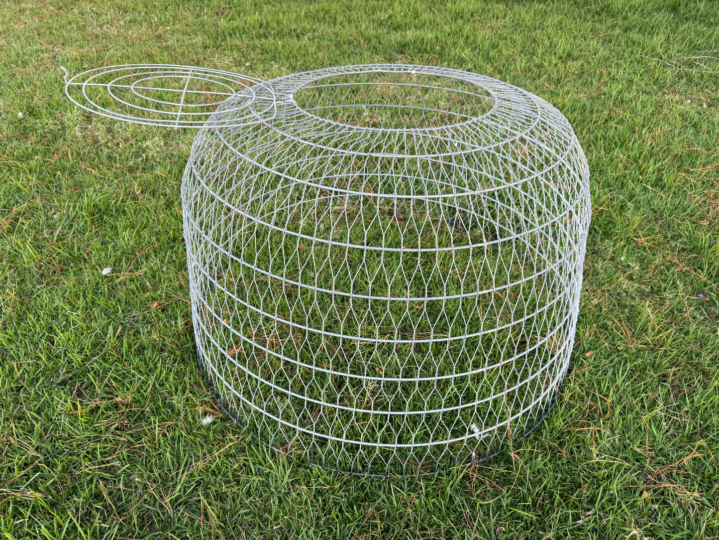 Wire Dome Bird Cage