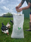 Muscovy Ducks