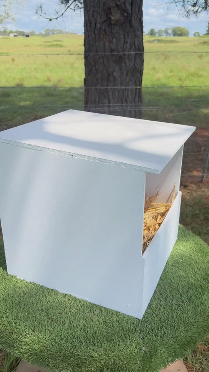 Single Nest Box