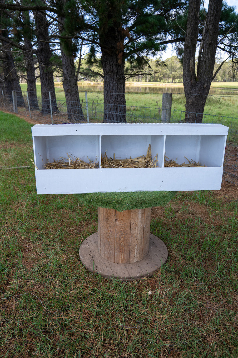 Triple Bay Nest Box