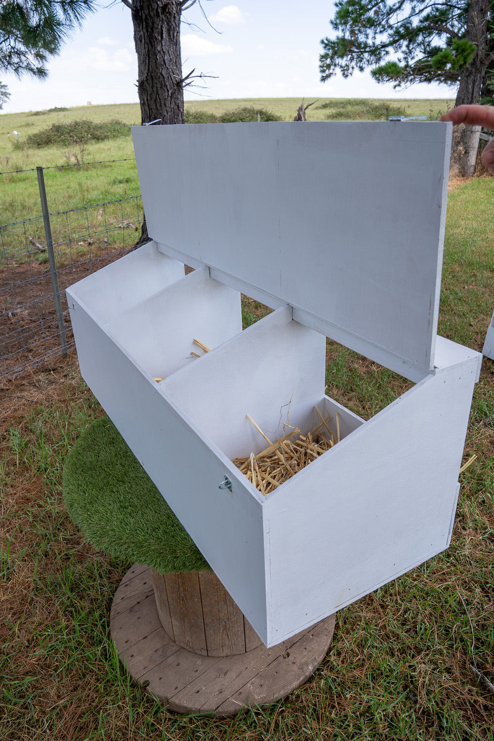 Triple Bay Nest Box