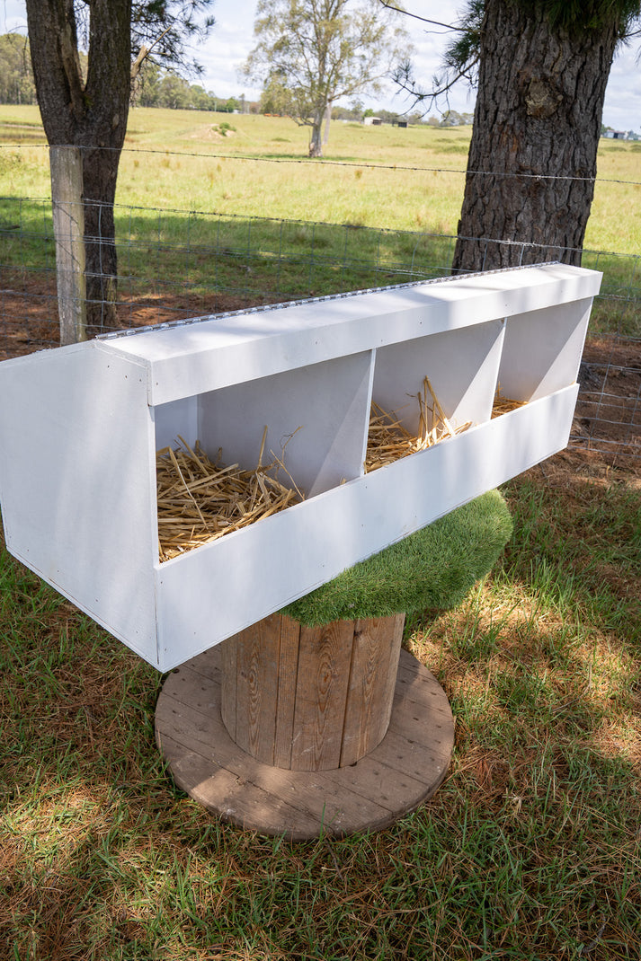 Nest Box
