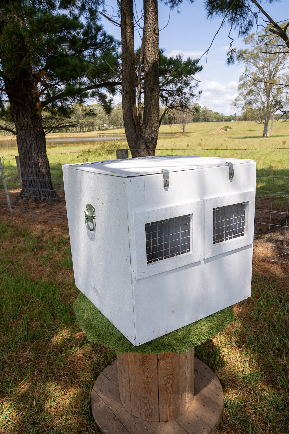 Poultry Carry Box