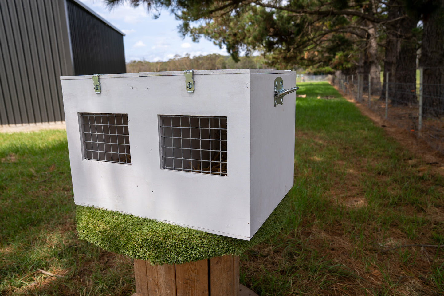 Poultry Carry Box