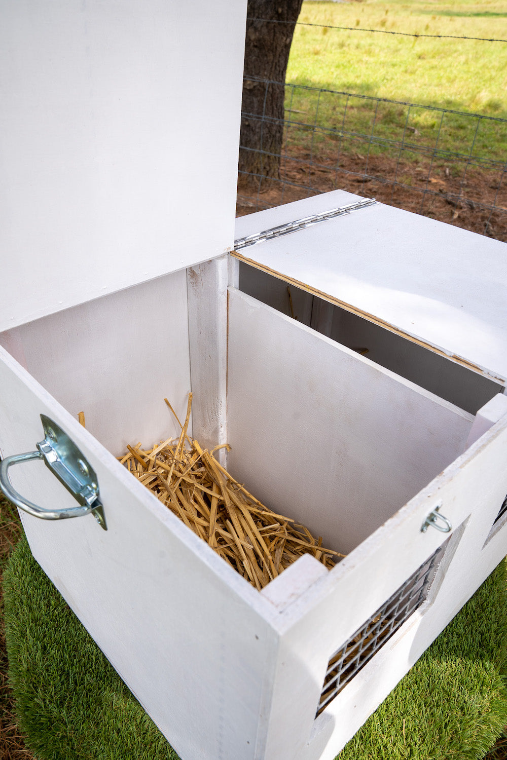 Poultry Carry Box