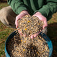 The Poodle and The Hen's Layer/Breeder Chicken Feed Falling Through Hands